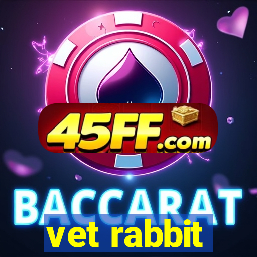 vet rabbit